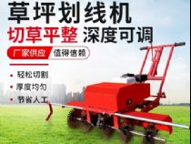 點(diǎn)擊查看詳細(xì)信息<br>標(biāo)題：草皮劃線機(jī) 閱讀次數(shù)：3339